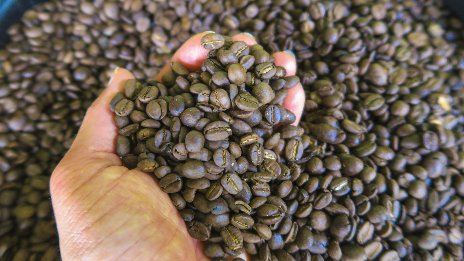 Scientists Have Busted A Nearly 100-Year-Old Myth About Coffee