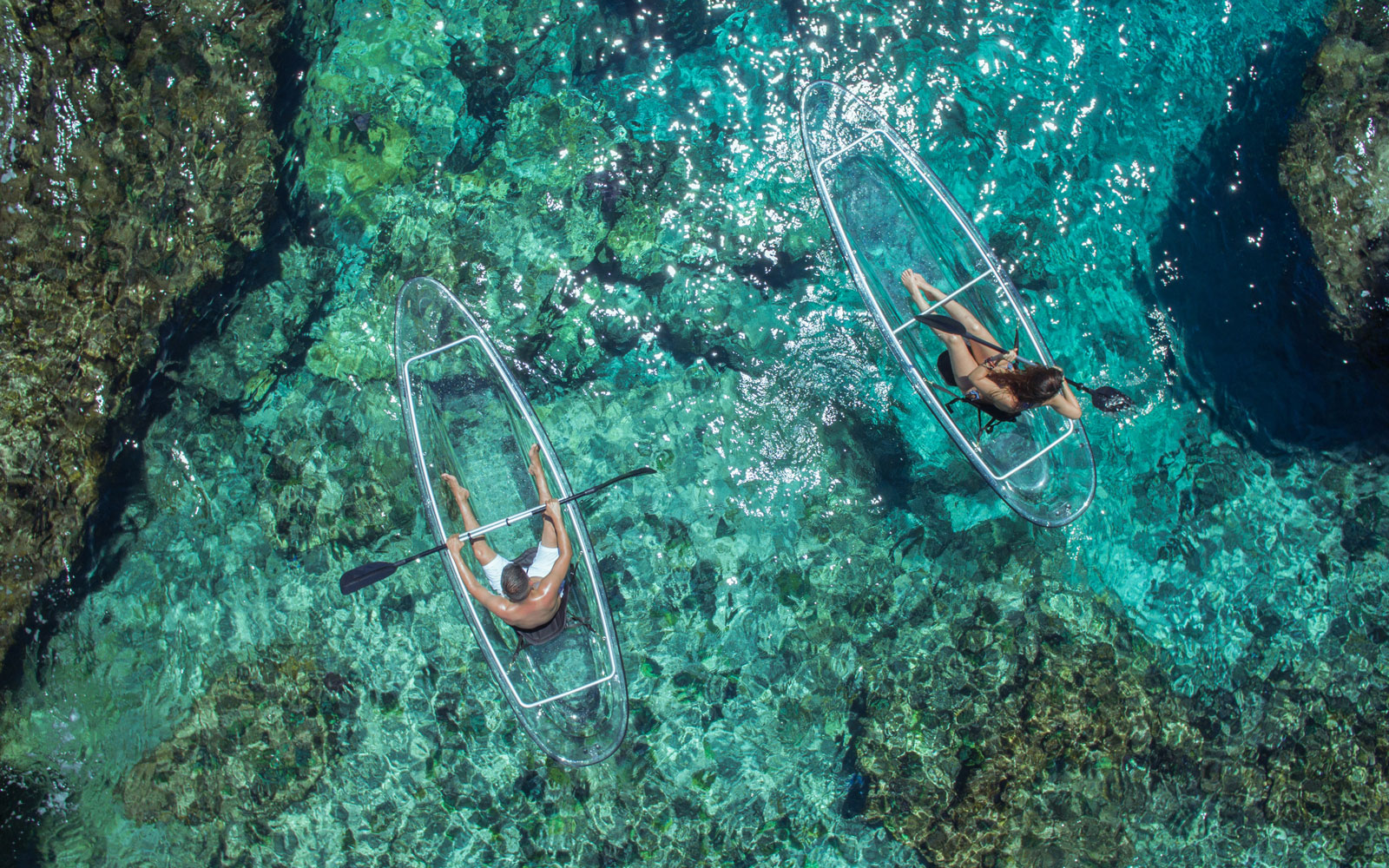 These Transparent Kayaks Give You Incredible Views of the Ocean While You Paddle