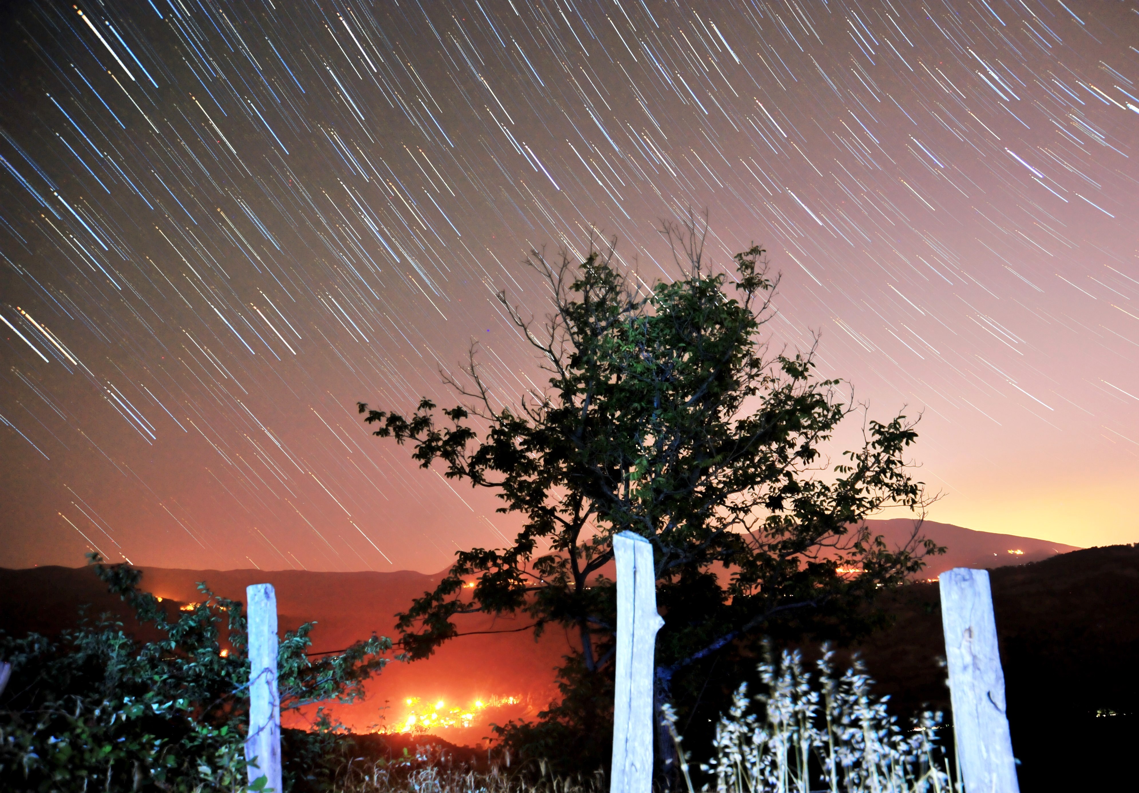 Tonight Is the Best Night of the Year to See Shooting Stars