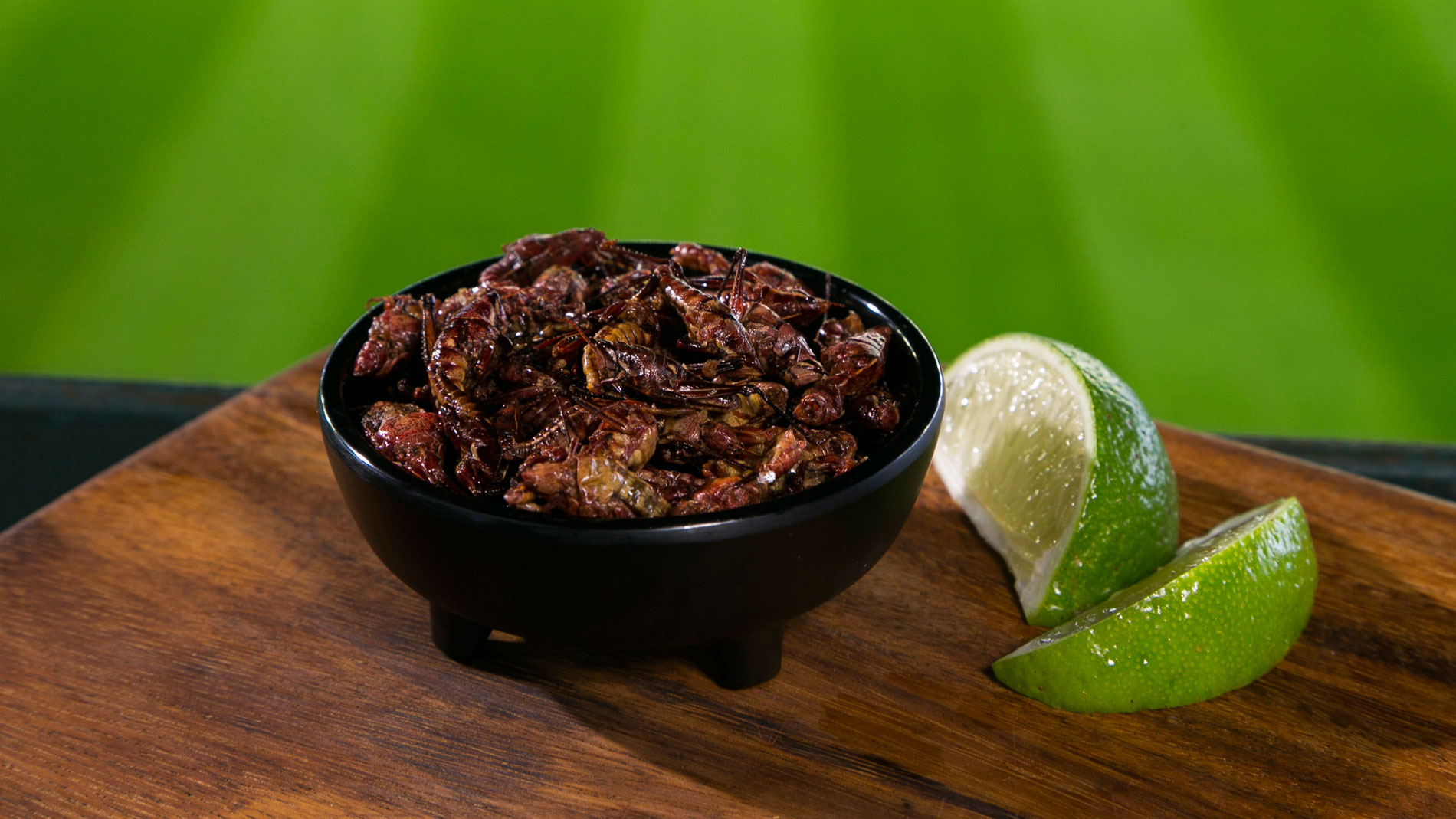 Seattle Mariners face surprising grasshopper shortage