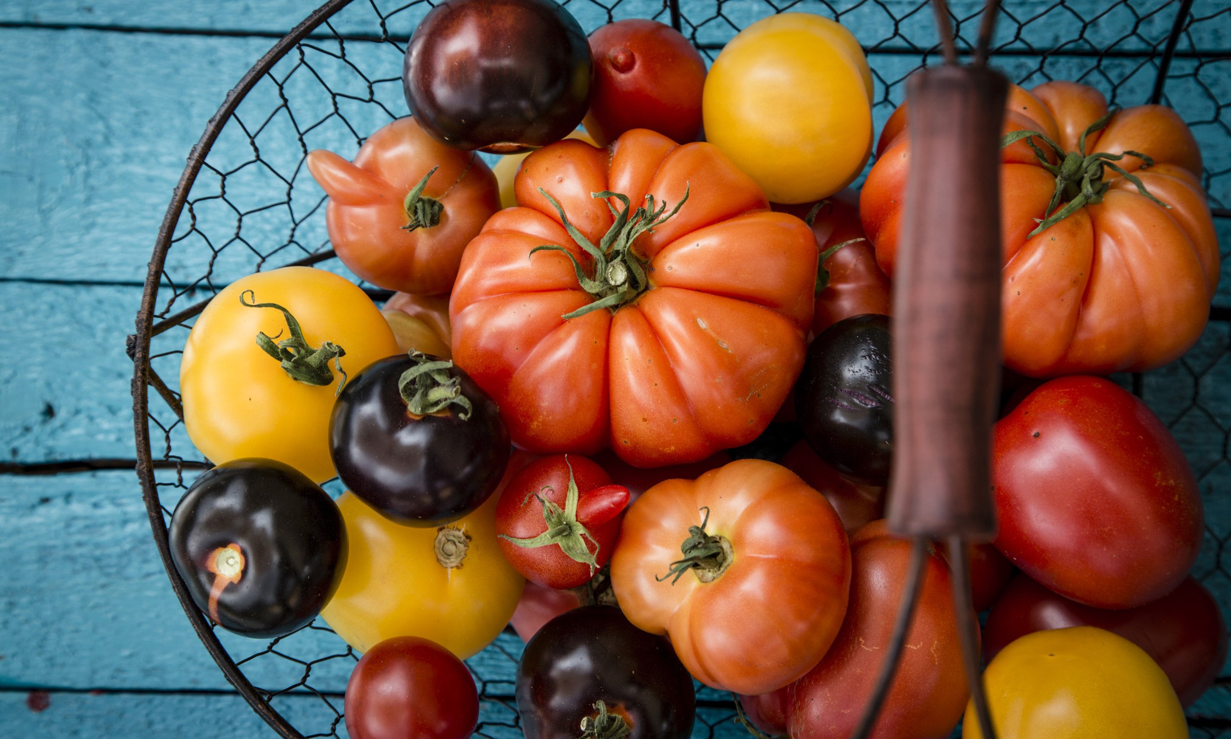 8 Easy Recipes for Your Extra Garden Tomatoes