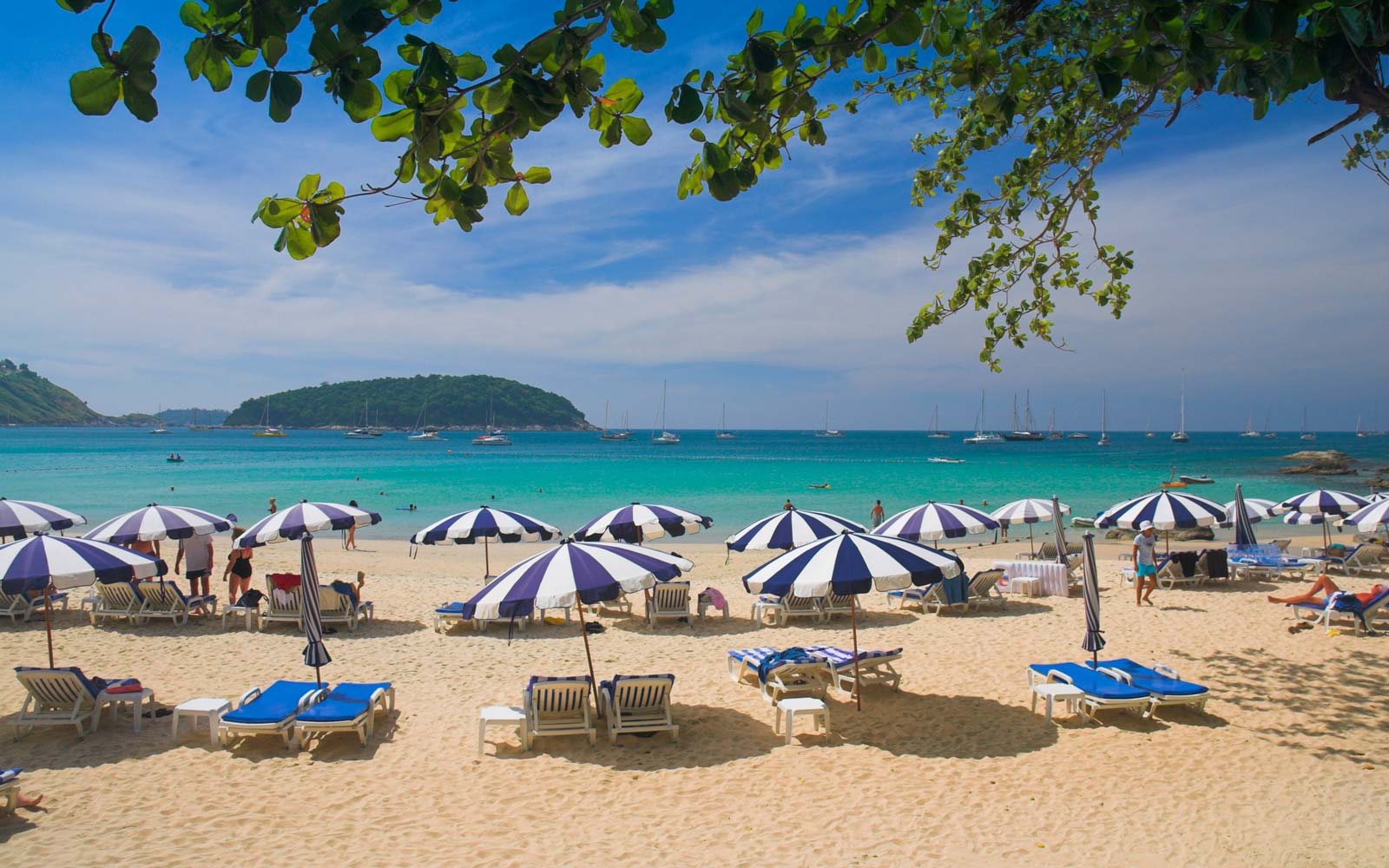 Summer airfare is down 23%