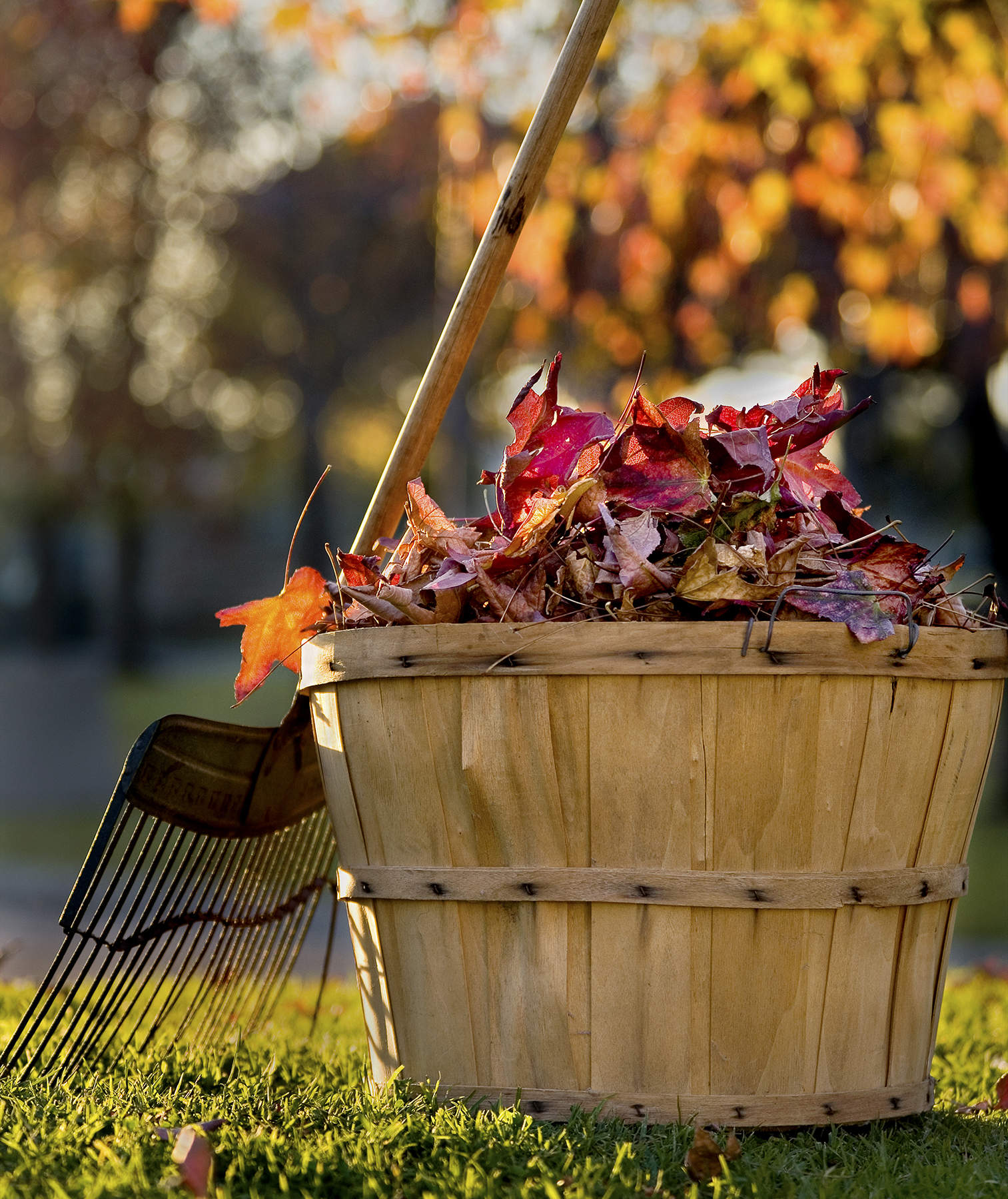 The Easiest Way to Rake Leaves