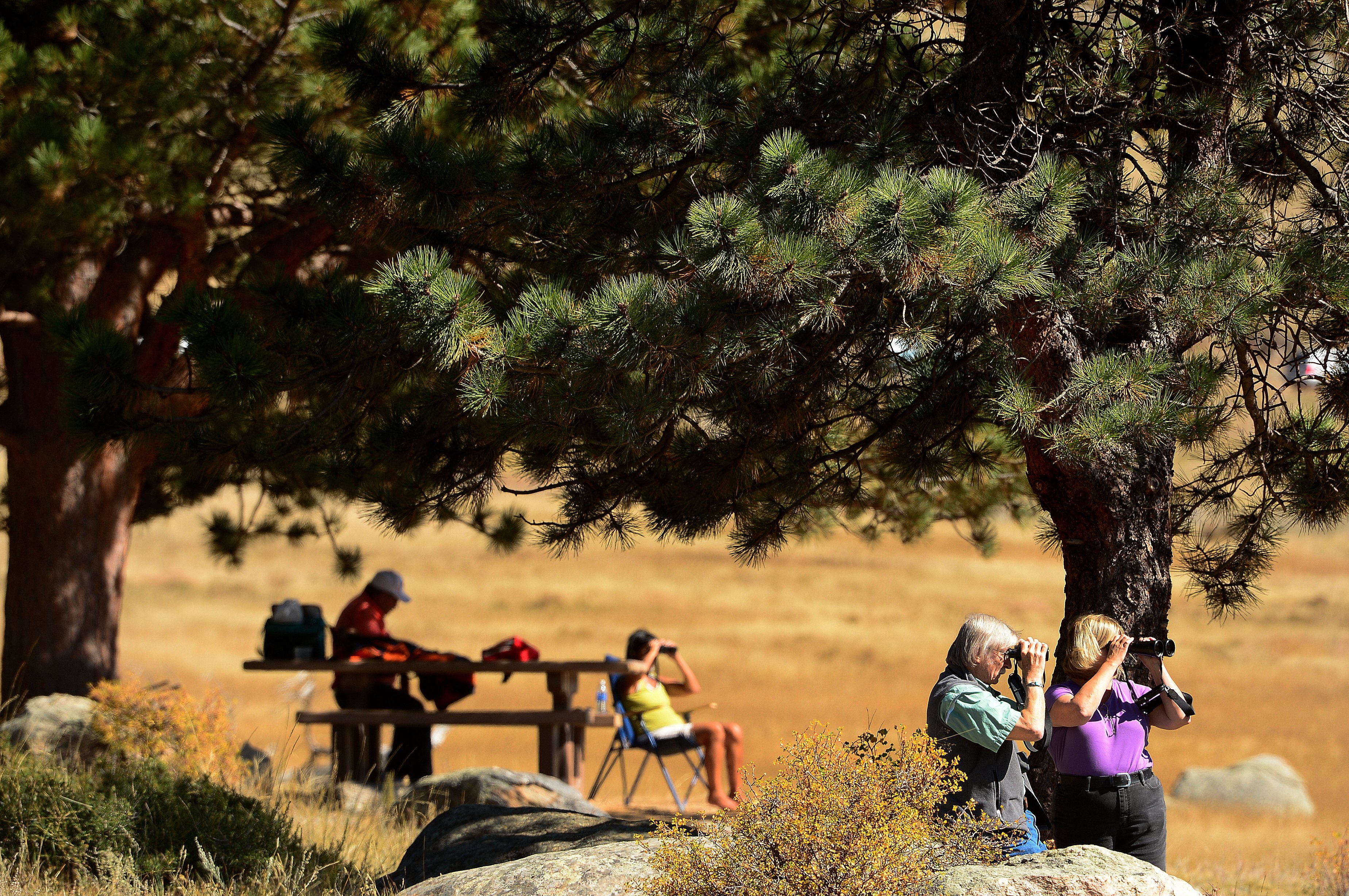 Seniors Can Get Lifetime Access to National Parks For Just $10. But Not For Long