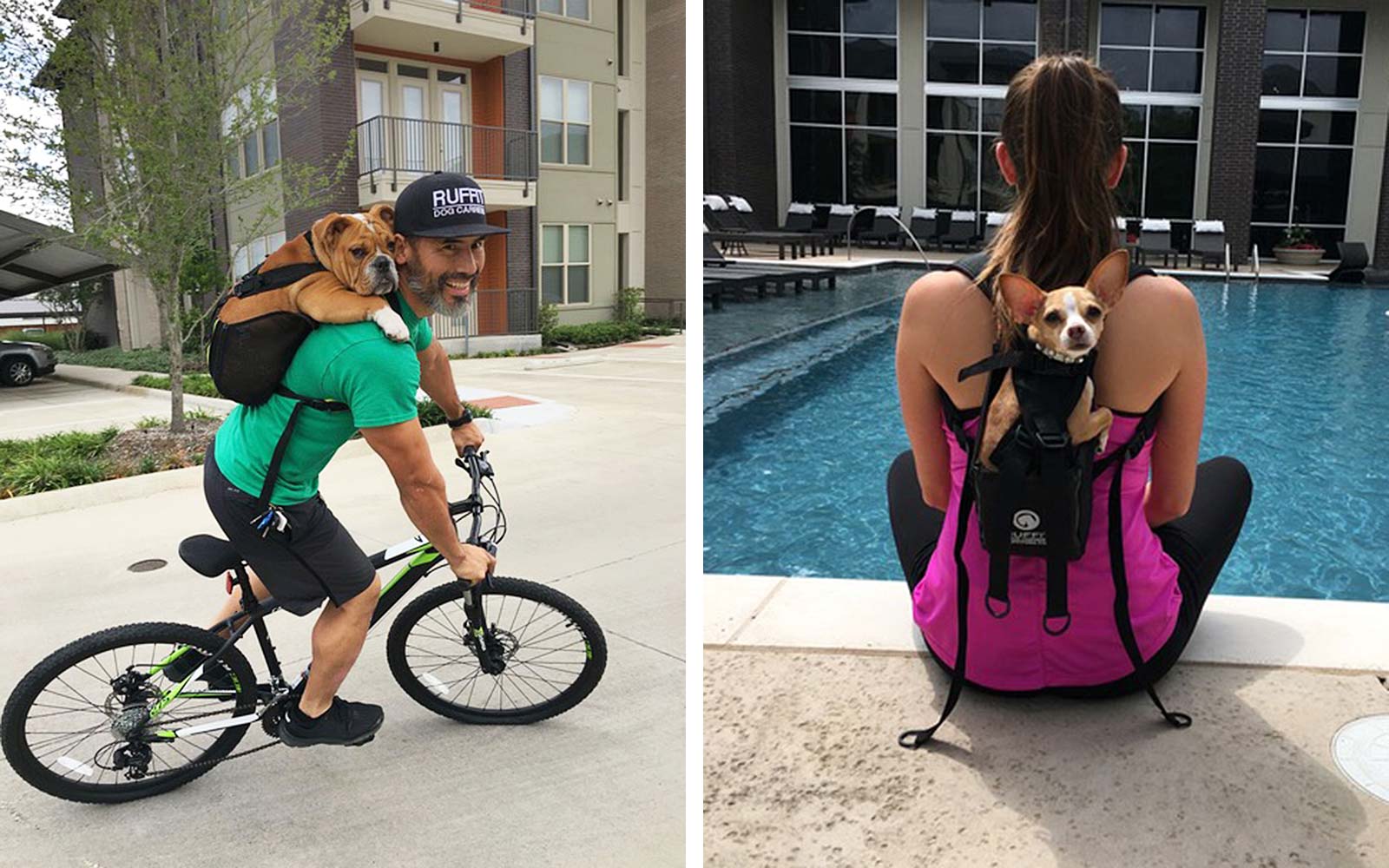 This dog backpack makes it easy to take your pet everywhere you go