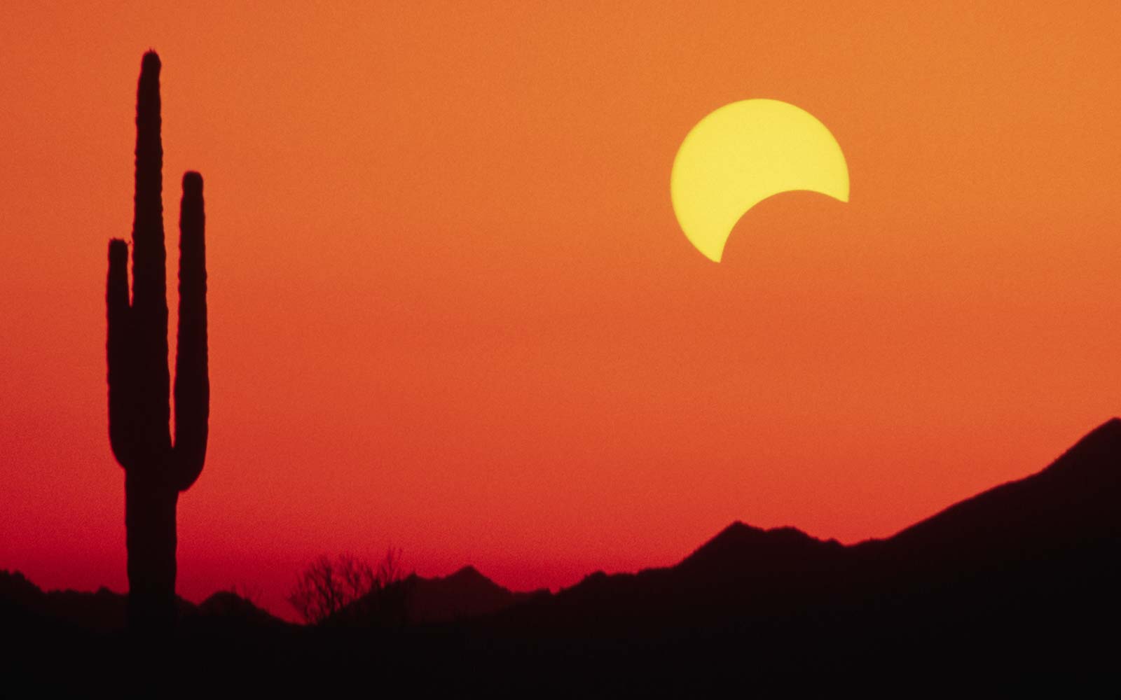 These Campsites Still Have Space Left for the Eclipse but Not for Long