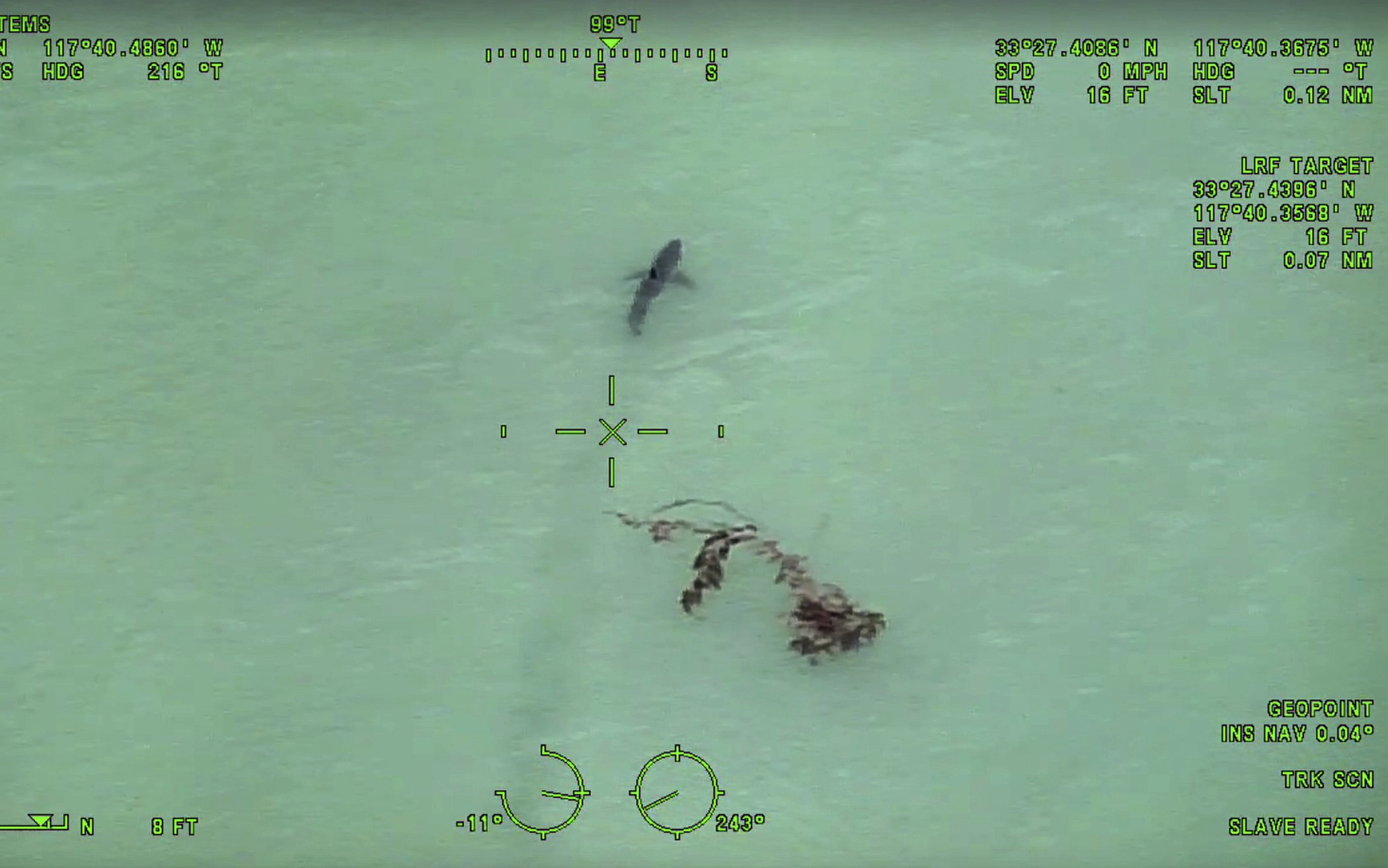 Helicopter Crew Warns Paddleboarders They're 'Next to Approximately 15 Great White Sharks'