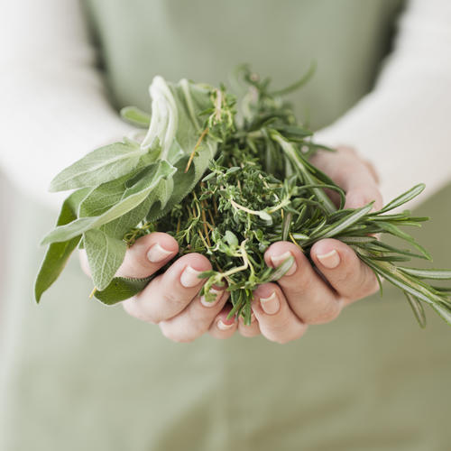 Everything You Need to Know When You Grow Your Own Herbs