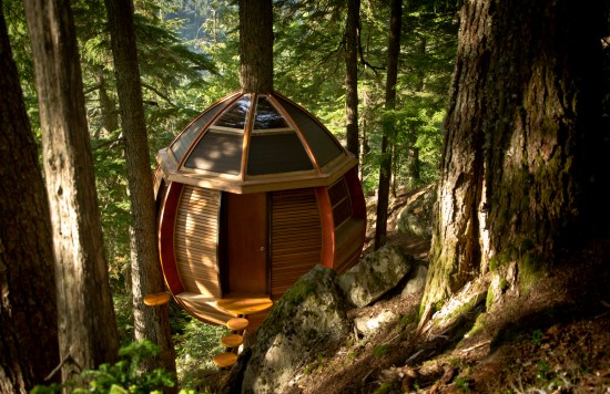 A (Not so) Top-Secret Canadian Treehouse