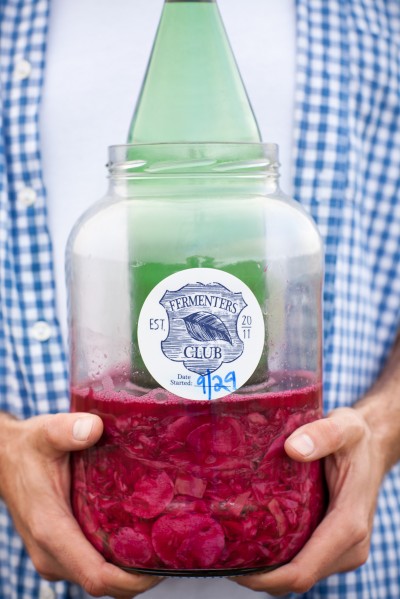 Farms: The New Disneyland