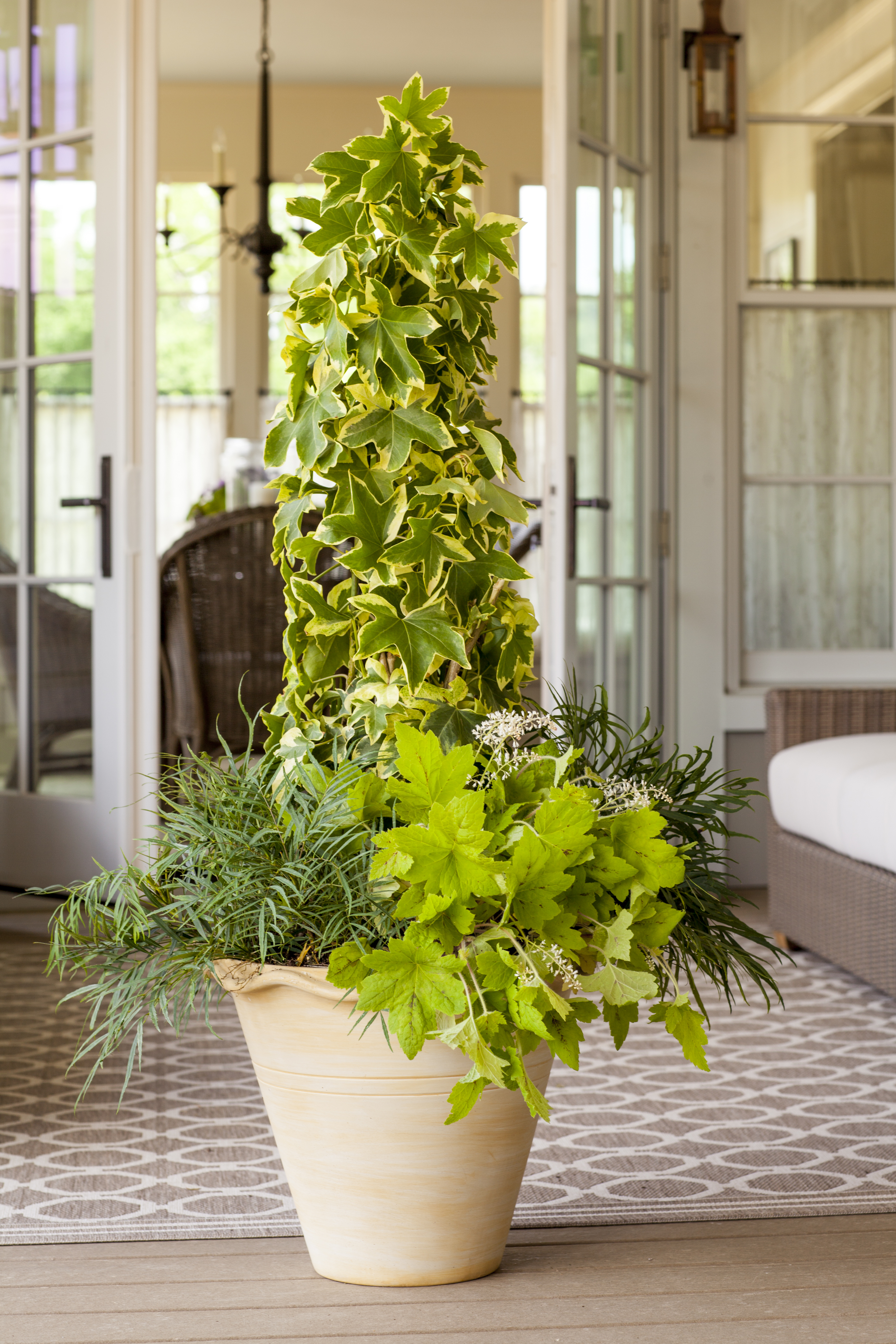 5 tips for using containers in your landscape designs