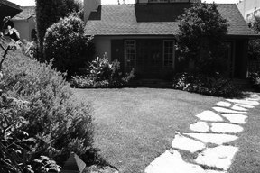 Lose the Lawn: Before and After in Santa Monica, CA