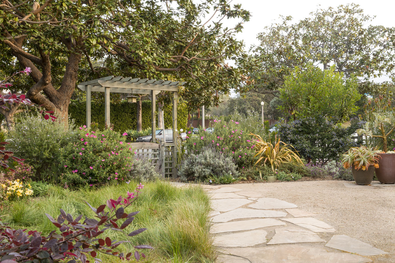 How Much Water Can You Save By Removing the Lawn?