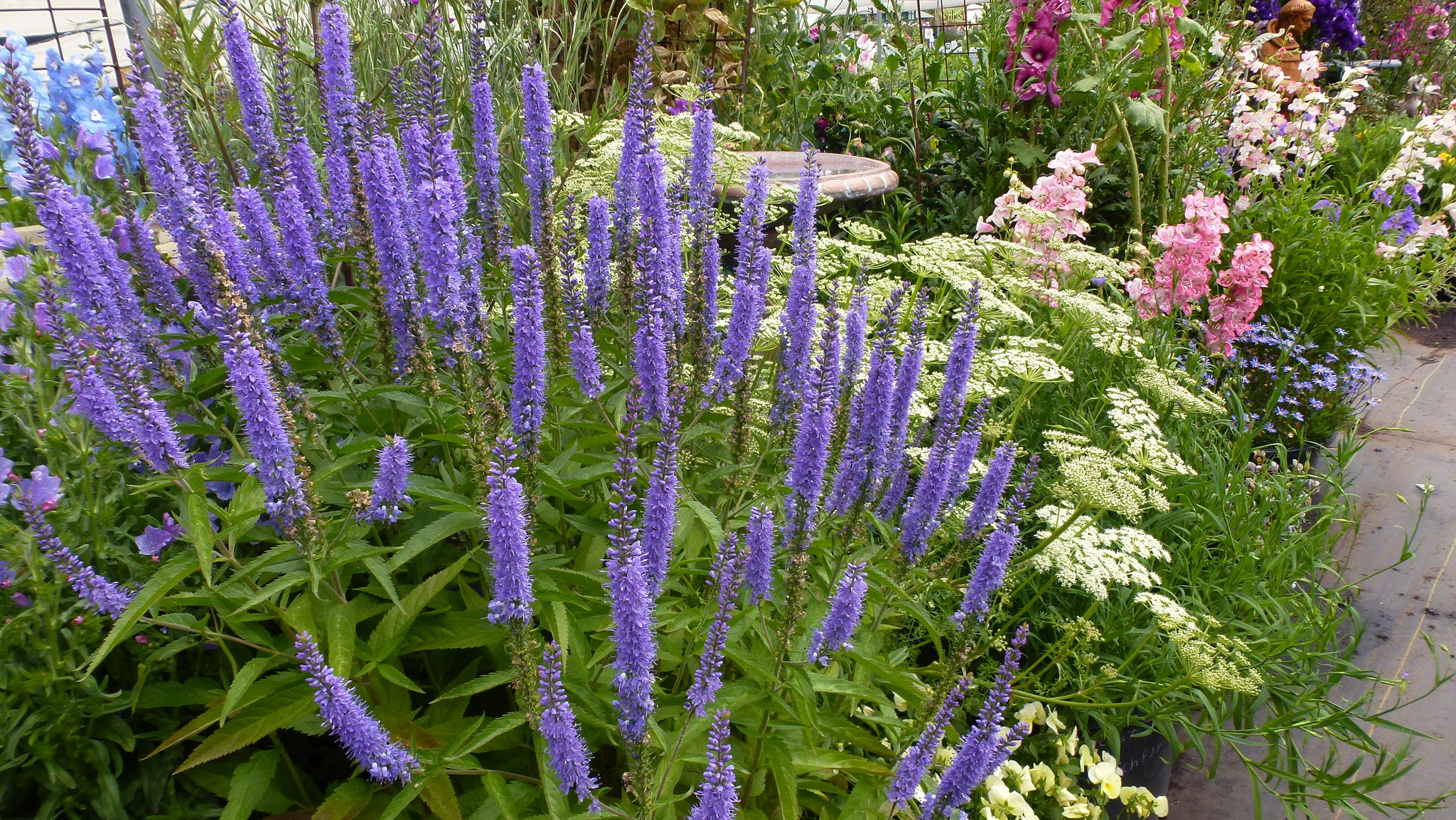 A garden party for Mother’s Day