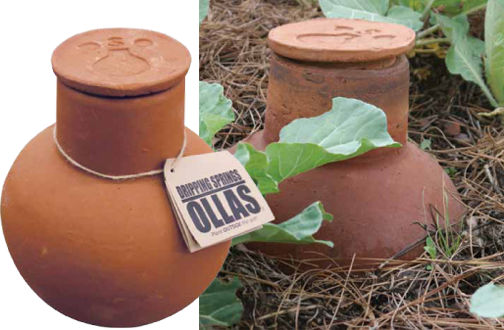 Save Water: Use An Olla
