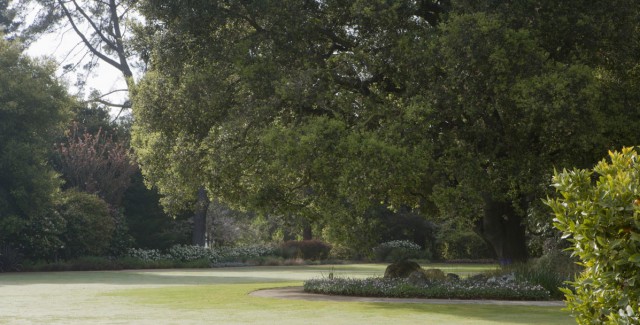 See you soon: Sunset’s Menlo Park gardens are open through Oct 30