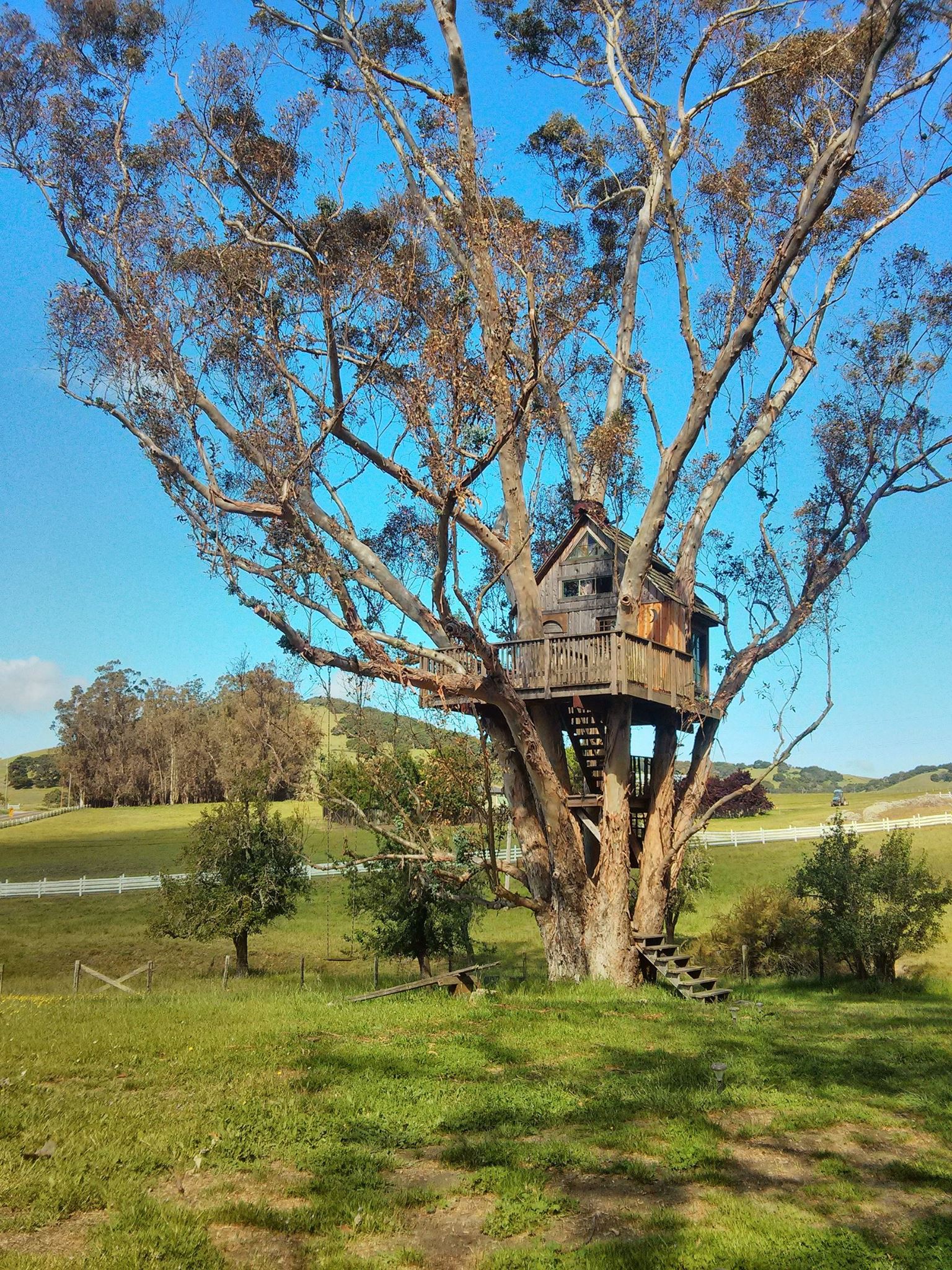 Our 5 Favorite Travel Finds of the Week