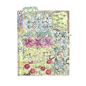 French-intensive bed plan