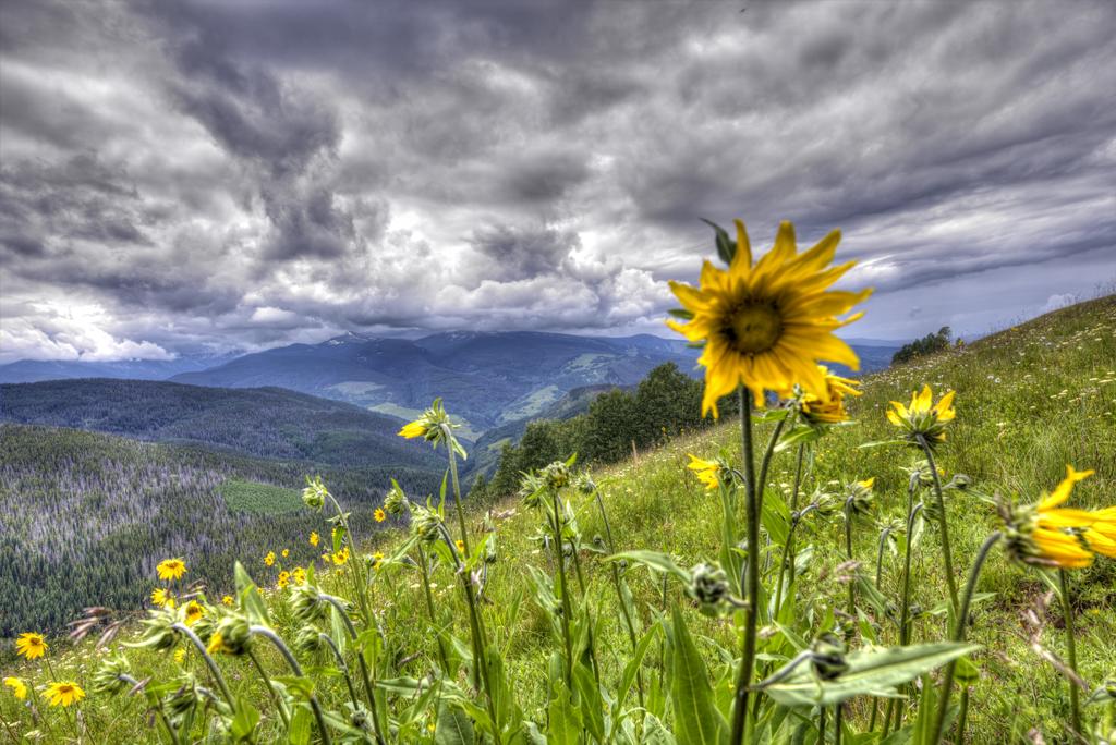 Learn the right way to vaca, shop a massive pop-up in L.A., and more favorite travel finds