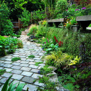 Fresh look for an overgrown slope