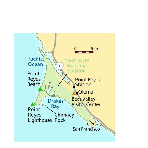 Point Reyes Beaches Map