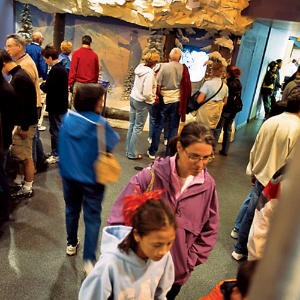 Alf Engen Ski Museum and the George Eccles 2002 Olympic Winter Games Exhibits