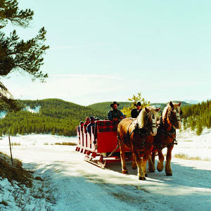 Christmas in the Rockies