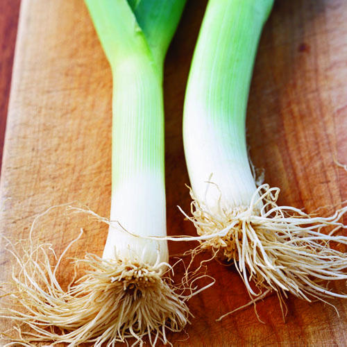 Fresh leeks - Sunset Magazine