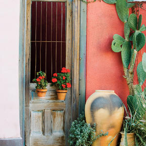 Desert not-so-solitaire