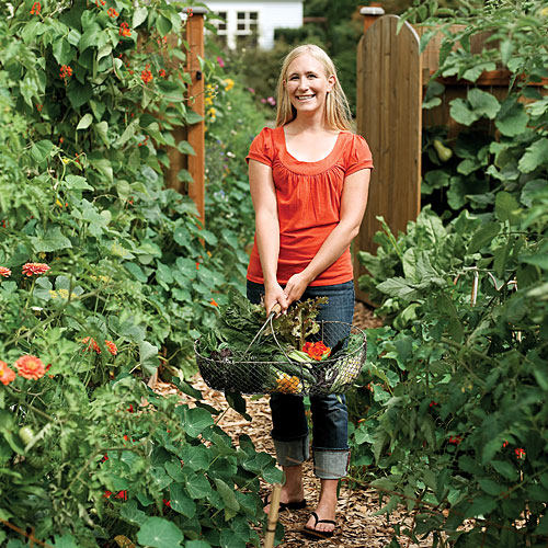 3 gardeners share their design secrets - Sunset Magazine
