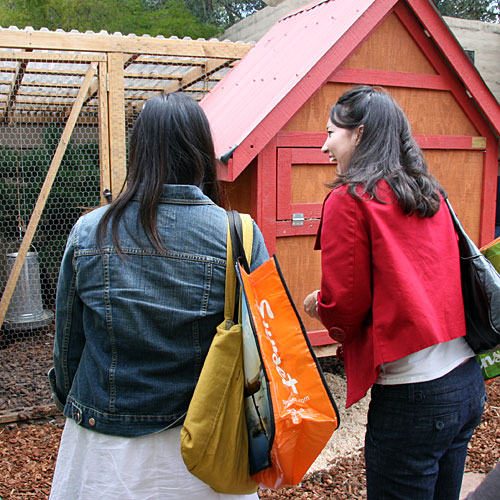 Checking out the chicken coop