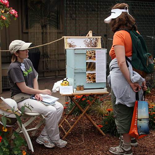 Learning about bees in the test garden