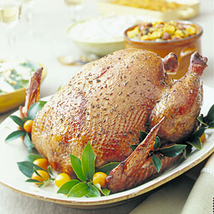 spice-rubbed-roast-turkey