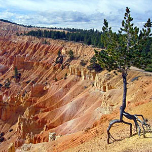 bryce-national-park-ut