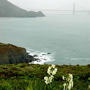 marin-county-ca