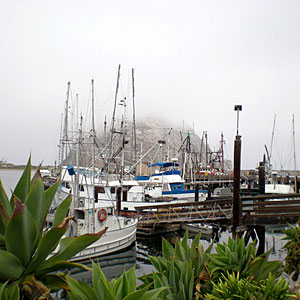 morro-rock-ca