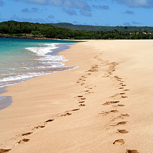 papohaku-beach-molokai