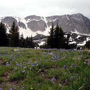 routt-national-forest-wy