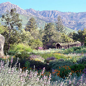 santa-barbara-botanic-garden-ca