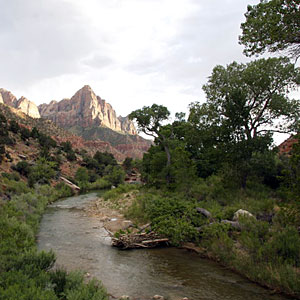 zion-national-park-ut