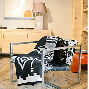 Santa Fe Modern Home