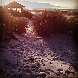 antelope-island-in-salt-lake-ut