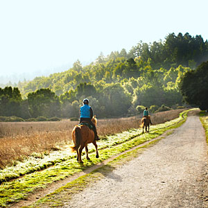 Point Reyes National Seashore