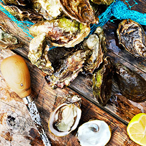 Tomales Bay Oyster Company