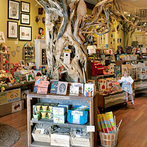 Paxton Gate Curiosities for Kids