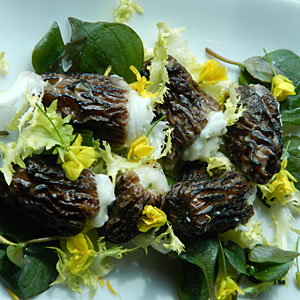 vegan-natural-selection-truffle-and-potato-filled-morel