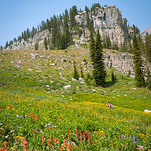 Teton Crest Trail