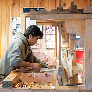 Catto Center at Toklat