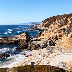 Bodega Head