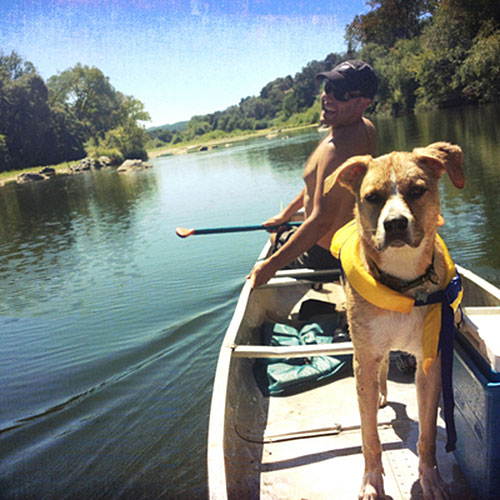 Doggy paddle